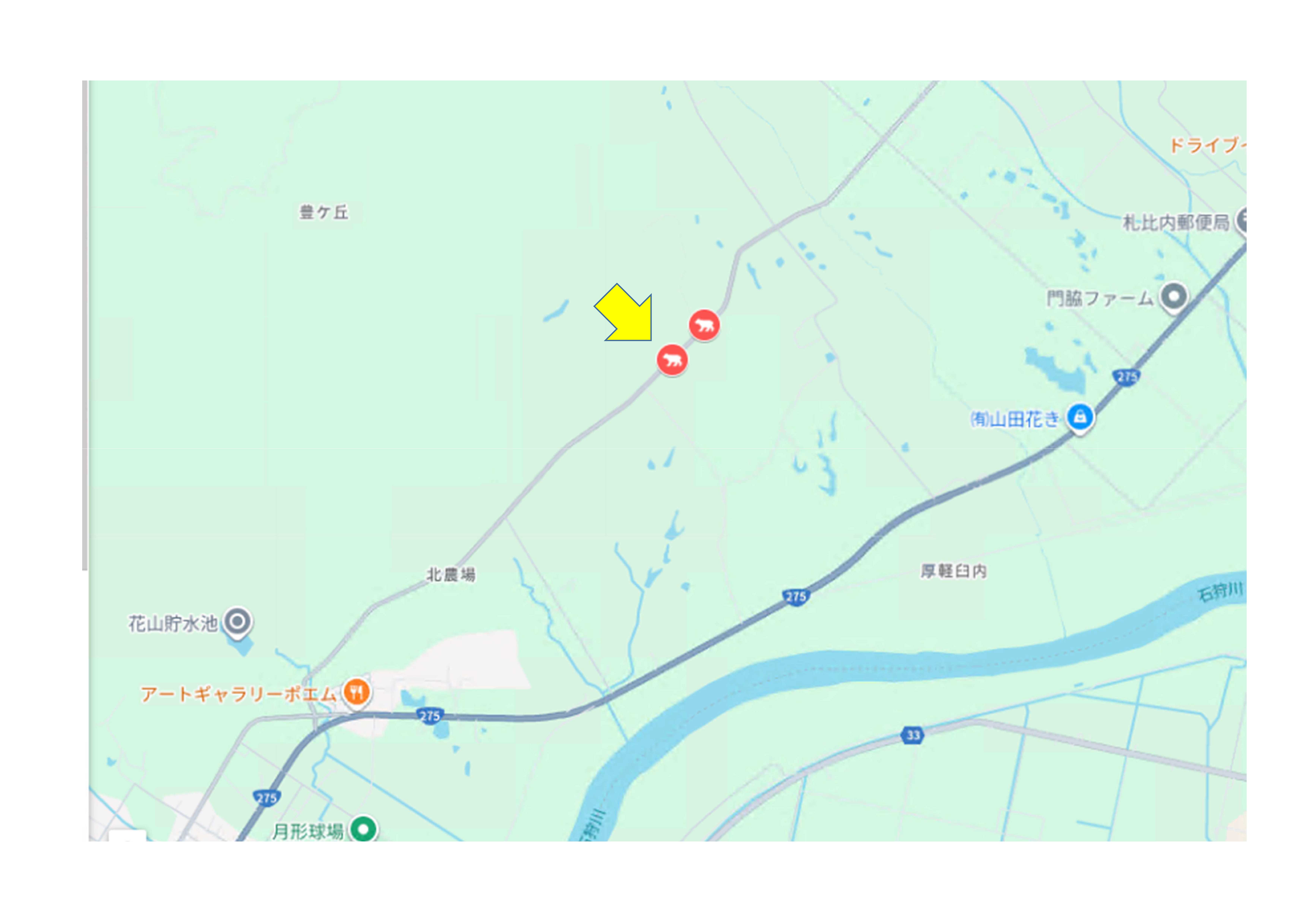 ヒグマ目撃場所